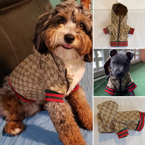 BNIP GUCCI POOCHI GG Monogram Hoodie Pet Jacket - Picture 5 of 8